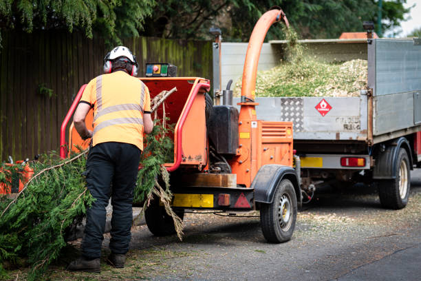 Mulching Services in Los Fresnos, TX